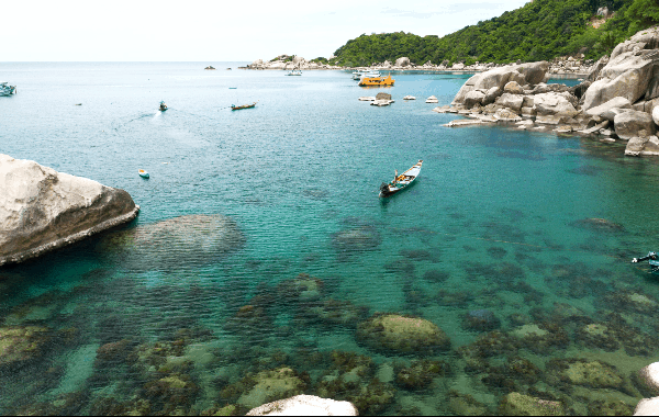 53E98CBF-121E-4D4B-8790-09EE7860AC5B.webp (129 KB)