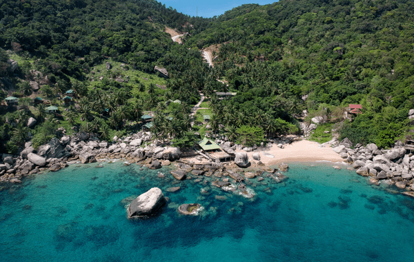 767748C4-21F9-47A8-984F-E9DB54F37867.webp (155 KB)