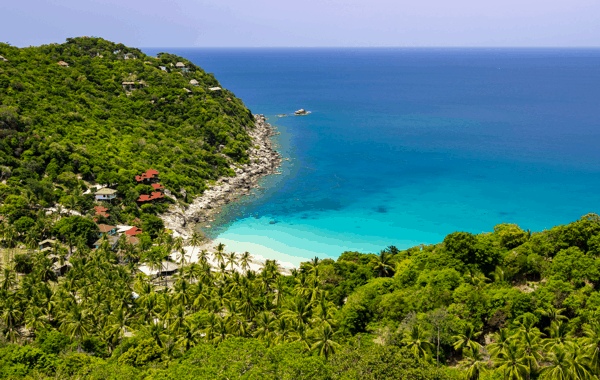 77FB673F-A688-4B01-9E44-90B7AD0232A6.webp (124 KB)