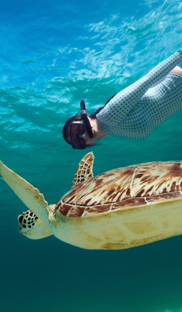 755DB870-8056-4B6F-B8AE-092E8E0ADDE2.webp (622 KB)