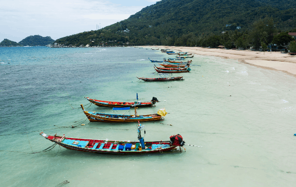 C90C1388-090A-4EB0-983E-3698846CBF6F.webp (106 KB)