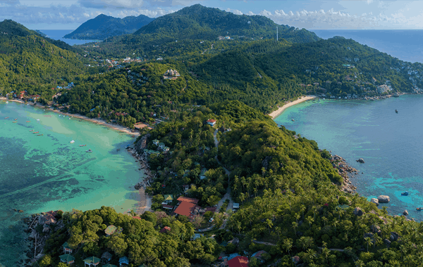 69E40B88-510C-46D3-98E9-B4B0EC8DC60C.webp (137 KB)