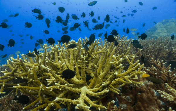 8635CAE9-498E-404E-8D9A-125BFF5EF37E.webp (128 KB)