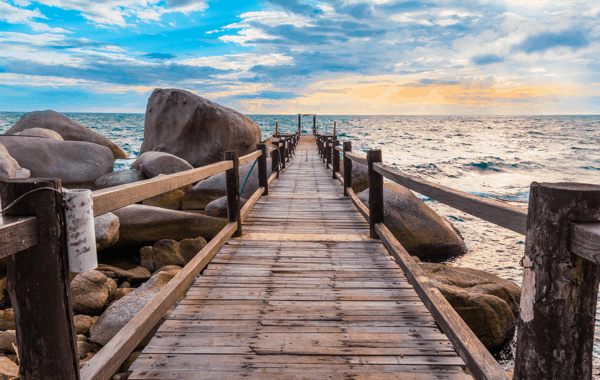 A9759561-C68C-47F0-80EB-A3518ADBCAF9.webp (124 KB)