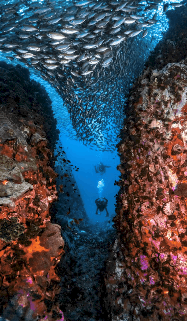 Scuba-Diving-Koh-Tao.webp (915 KB)