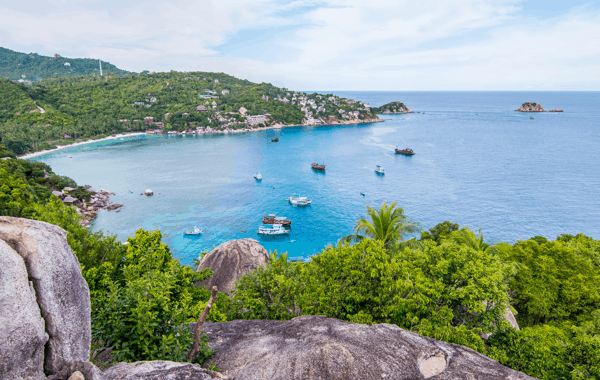 DE29B53D-FCF8-49FA-8810-F9599E212387.webp (124 KB)