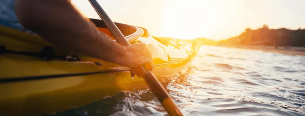 1B1B34E5-709E-4403-AE6A-F2FA364AF3F5.webp (25 KB)