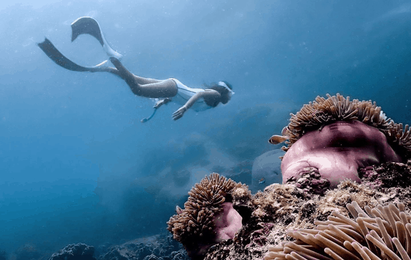 FB5CA0E8-0617-4FBB-9243-2D988D001163.webp (83 KB)