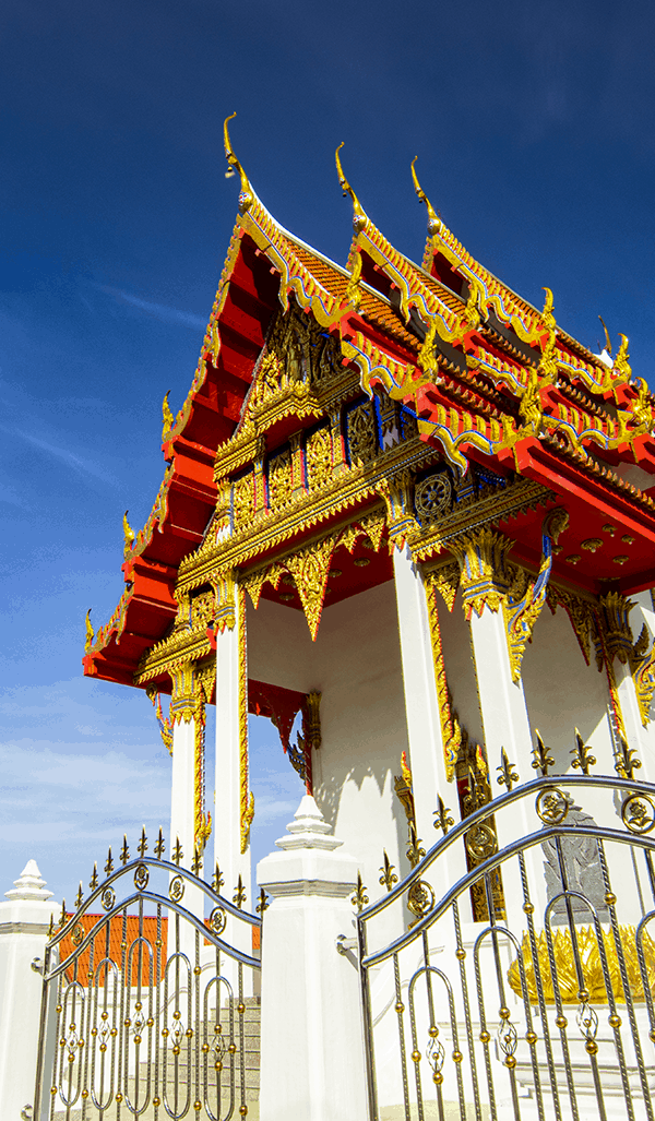 VERTICAL-IMAGE.png.webp (292 KB)